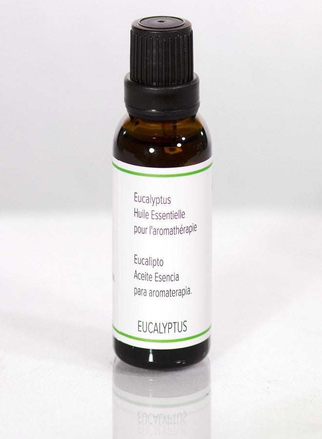 AIRCARE EOEUC30 Eucalyptus Essential Oil for Use in The Aircare Aurora Ultrasonic Humidifier or for Other Aromatherapy Usage -1 Oz. Bottle - Image 3